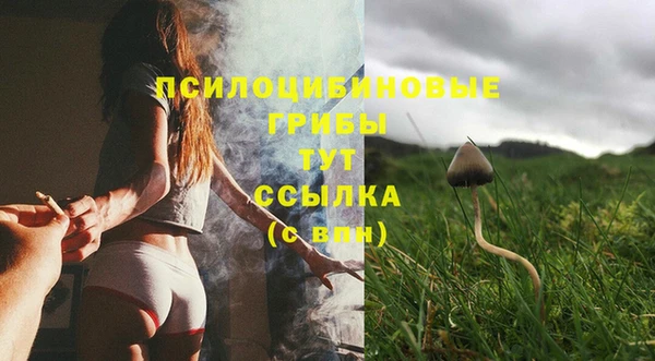 каннабис Михайловка