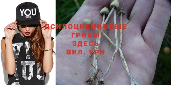 jwh Михайлов