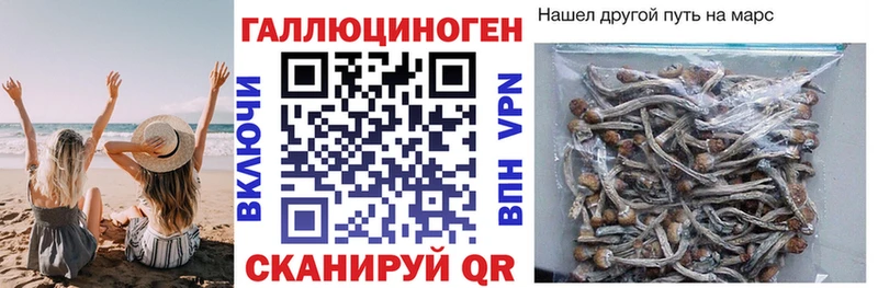 Галлюциногенные грибы GOLDEN TEACHER  Оренбург 