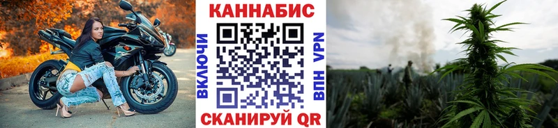 Шишки марихуана сатива Оренбург